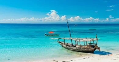 nieruchomości na Zanzibarze